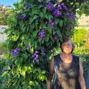   ,   , 58 ,   c 