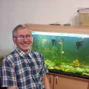  ,   , 68 ,   