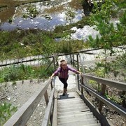 ���������� ������������, ���� ������� ���������, 37 ���, ������������ ��� ����� � ���������, c�������� ���������