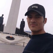 ���������� �����������, ���� ������� ������, 28 ���, ������������ ��� ����� � ���������, c�������� ���������