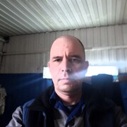 ���������� �������������, ���� ������� ������, 48 ���, ������������ ��� ����� � ���������, c�������� ���������