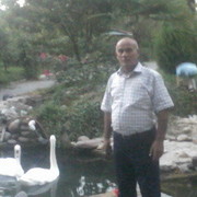  ,   , 66 ,   