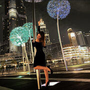 ���������� �����, ���� ������� ���������, 33 ����, ������������ ��� ����� � ���������, c�������� ���������