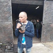  ,   , 41 ,   