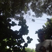  ,   , 46 ,   