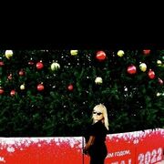 ���������� ����, ���� ������� �����, 45 ���, ������������ ��� ������, ����� � ���������