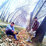 ���������� ���������, ���� ������� KamoL, 31 ���, ������������ ��� ������, ����� � ���������, c�������� ���������