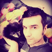 ���������� ������, ���� ������� ���, 38 ���, ������������ ��� ����� � ���������, c�������� ���������