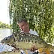 ���������� ������, ���� ������� �������, 41 ���, ������������ ��� ������, ����� � ���������, c�������� ���������