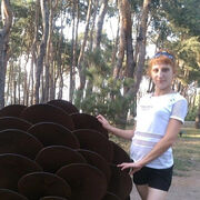 ���������� �������, ���� ������� �������, 41 ���, ������������ ��� ������, ����� � ���������