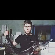 ���������� �������, ���� ������� ���, 28 ���, ������������ ��� ������, ����� � ���������