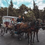 ���������� ����, ���� ������� ������, 35 ���, ������������ 