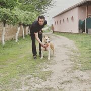  ,   , 53 ,   ,   