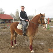 ���������� �������, ���� ������� ������, 38 ���, ������������ ��� ������, ����� � ���������, c�������� ���������