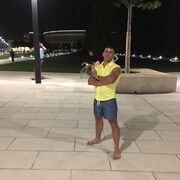 ���������� ���������, ���� ������� ���������, 44 ����, ������������ ��� ������, ����� � ���������, ���������