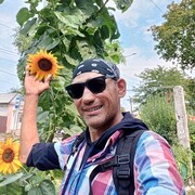 ���������� ����, ���� ������� �����, 45 ���, ������������ ��� ������, ����� � ���������, c�������� ���������, ���������