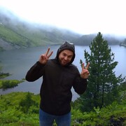  ,   Georgii, 31 ,     , c , 