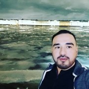  -,   Shoxrux, 31 ,   ,   , c , 