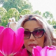  ,   , 53 ,   ,   
