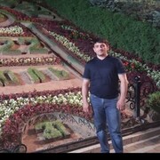  ,   Terlan, 41 ,   ,   