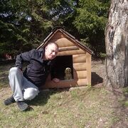 ���������� ������, ���� ������� ����, 41 ���, ������������ ��� ������, ����� � ���������