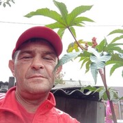 ���������� �����������, ���� ������� �������, 52 ����, ������������ ��� c�������� ���������, ���������