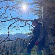 ���������� ���������, ���� ������� �������, 40 ���, ������������ ��� ������, ����� � ���������, c�������� ���������, ���������