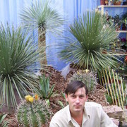 ���������� �������, ���� ������� Klim, 47 ���, ������������ ��� ����� � ���������, c�������� ���������