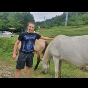 ���������� �����-���������, ���� ������� ��������, 40 ���, ������������ ��� ������, c�������� ���������, ���������