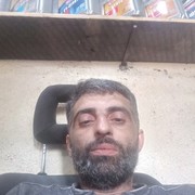  ,  Qarib qaribo, 43