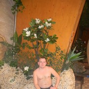  ,   , 40 ,   