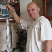  ,   ALEKS, 48 ,   ,   , c 