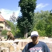 ���������� �����������, ���� ������� �����, 45 ���, ������������ ��� ����� � ���������, c�������� ���������