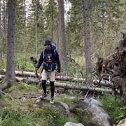 ���������� ������, ���� ������� ������, 36 ���, ������������ ��� ������, ����� � ���������, c�������� ���������, ���������