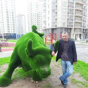 ���������� ������, ���� ������� �����, 49 ���, ������������ ��� ������, ����� � ���������, c�������� ���������, ���������