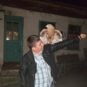 ���������� ����, ���� ������� �����, 43 ����, ������������ ��� ������, ����� � ���������, c�������� ���������