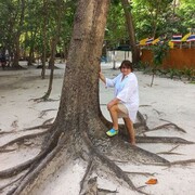 ���������� ���������, ���� ������� ��������, 70 ���, ������������ ��� ������, ����� � ���������