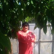  ,   , 55 ,   