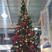 ���������� ����, ���� ������� ������, 34 ����, ������������ ��� ������