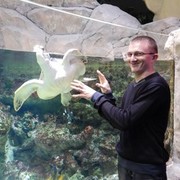 ���������� ������, ���� ������� ���������, 34 ����, ������������ ��� ������, ����� � ���������, c�������� ���������