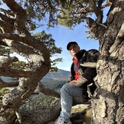 ���������� ���������, ���� ������� �������, 34 ����, ������������ ��� ������, ����� � ���������, c�������� ���������