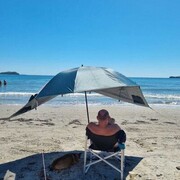 ���������� �����������, ���� ������� ����, 39 ���, ������������ ��� ������, c�������� ���������