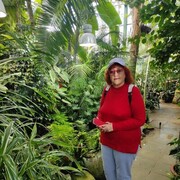  ,   , 62 ,     , c , 