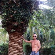  ,   , 56 ,  