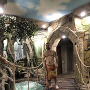 ���������� ������, ���� ������� �����, 35 ���, ������������ ��� ������, ����� � ���������, c�������� ���������, ���������