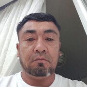  ,  , 43