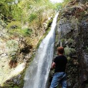 ���������� �����, ���� ������� �����, 31 ���, ������������ ��� ������, ����� � ���������, c�������� ���������