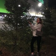 ���������� ������, ���� ������� �����, 47 ���, ������������ ��� ����� � ���������, c�������� ���������