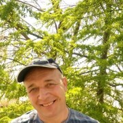  --,   , 50 ,   