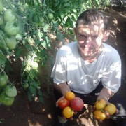  ,   Aleks, 48 ,   ,   , c 